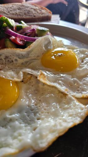 a plate with two fried eggs and a sandwich at DesertB in Giv'ot Bar