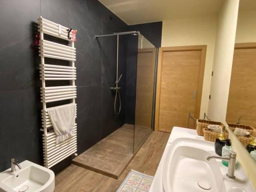 a bathroom with a shower and a sink at B&B casa Orsingher a 2 passi da Belluno in Trichiana
