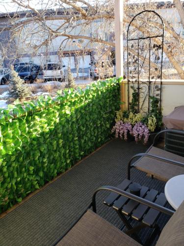 eine grüne Wand mit Pflanzen, Tischen und Blumen in der Unterkunft Entire 1 BR Condo- Near Anschutz, UC Health, DIA- In-Unit Washer Dryer- Seasonal Discounts! in Aurora