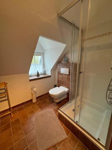 a bathroom with a toilet and a glass shower at The little Stone House in Blankenheim