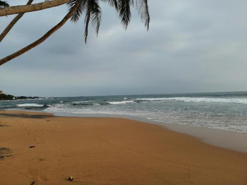 a beach with a palm tree and the ocean at Ocean View Condos in Galle