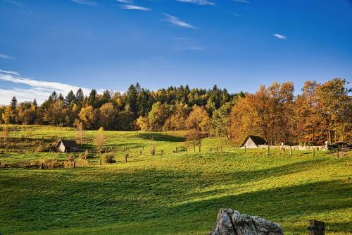 a green field with trees in the background at Luxury Apartment Ana with Hot tub in Višnja Gora