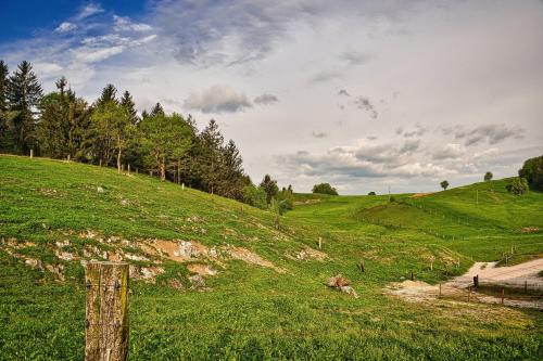 a grassy hill with a fence on top of it at Luxury Apartment Ana with Hot tub in Višnja Gora