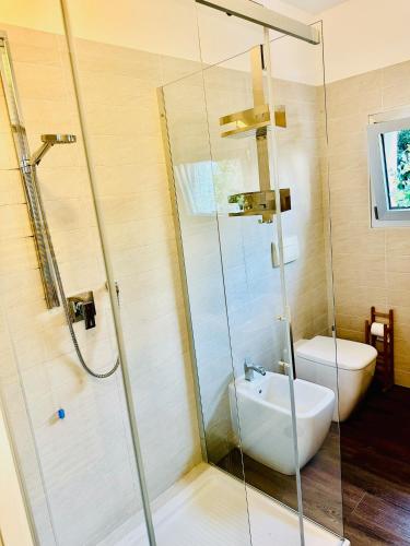 a bathroom with a shower and a toilet and a sink at Dock House in Marone