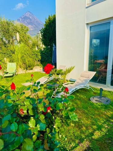 a yard with a chair and a bush with red flowers at Dock House in Marone