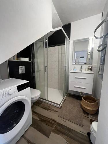 une salle de bain avec machine à laver et toilettes dans l'établissement La Marina des remparts, à Aigues-Mortes