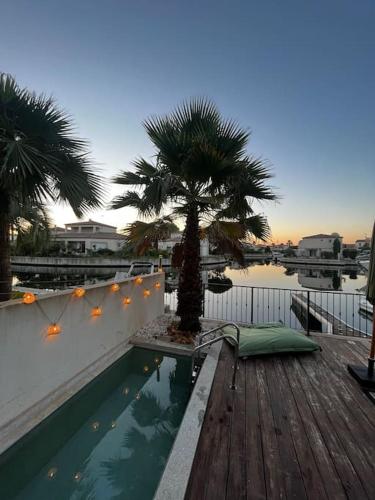 un palmier assis sur une terrasse à côté d'une piscine dans l'établissement La Marina des remparts, à Aigues-Mortes