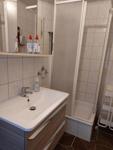 a bathroom with a sink and a shower at 1A Ferienhaus Winter in Dobbertin
