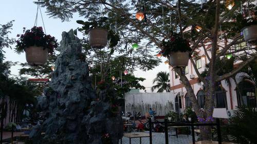 a group of potted plants on a tree in front of a building at Rang Dong Hotel in My Tho