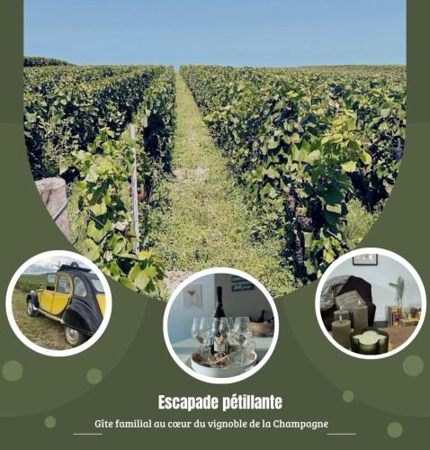 Gîte familial dans le vignoble champenois