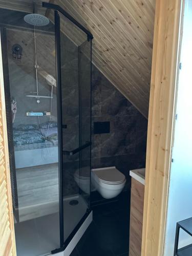 a bathroom with a glass shower with a toilet at Apartamenty Bezrzecze in Szczecin