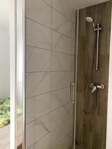 d'une douche avec une porte en verre et un pommeau de douche. dans l'établissement 2BR 2 bathroom Geneva Tram 17, à Ambilly