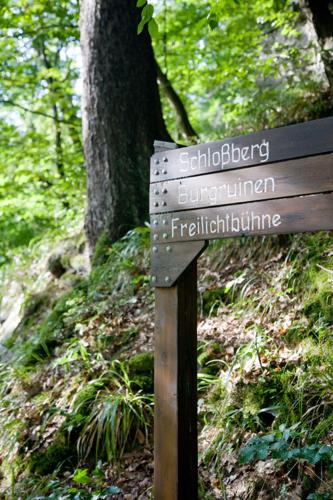 a wooden sign on a trail in a forest at Gasthaus Merkel Hotel in Bad Berneck im Fichtelgebirge