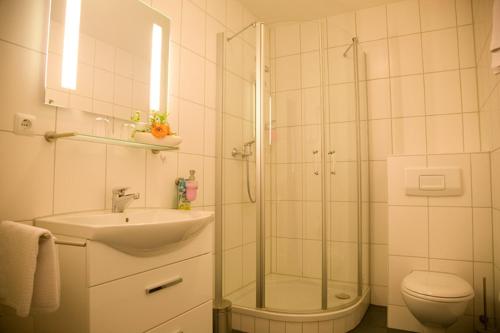 a bathroom with a shower and a toilet and a sink at Gasthaus Merkel Hotel in Bad Berneck im Fichtelgebirge