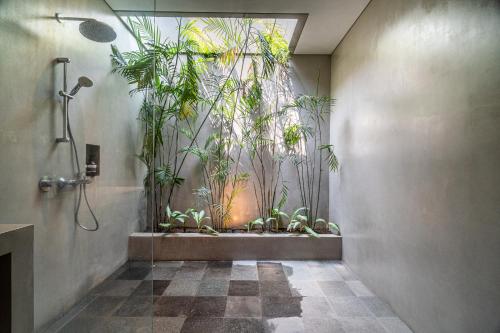 a bathroom with a shower with plants in it at Exclusive 4BR Tranquil Sanctuary in Pererenan in Canggu