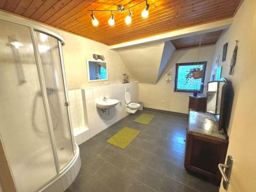 a bathroom with a shower and a toilet and a sink at Großzügiges Haus in Moselnähe in Neumagen-Dhron