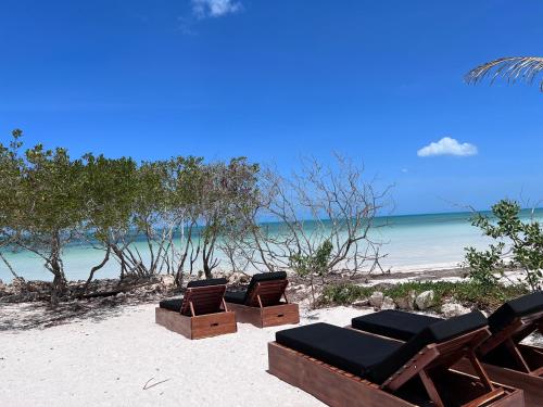 - trois chaises longues sur une plage donnant sur l'océan dans l'établissement Casa Punta Coco & Beach Club, à Holbox