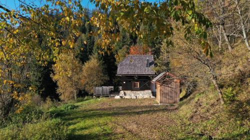 a small house on the side of a hill at Waldhütte Stifthube in Obertal