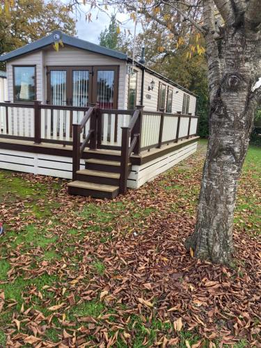 a house with a porch and stairs next to a tree at Orchid 3 in Ferndown