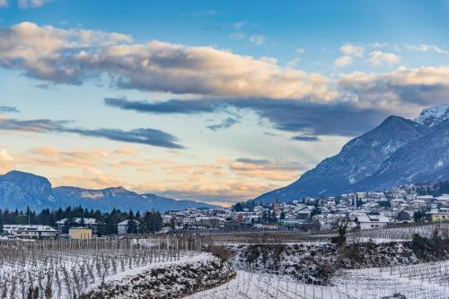 a view of a town in the mountains at Hotel Weingarten in Appiano sulla Strada del Vino