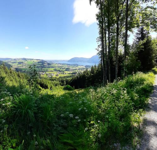a road in the hills with grass and trees at Ferienhaus TraunseeStrand in Ebensee