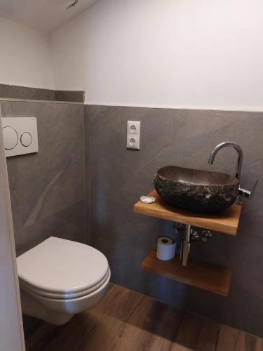 a bathroom with a sink and a toilet at Naturpension Rottau in Rottau