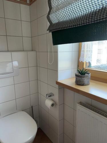 a small bathroom with a toilet and a window at Zwieslerwaldhaus4 in Lindberg
