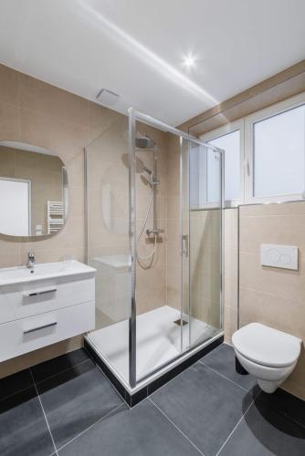 une salle de bain avec une douche, des toilettes et un lavabo dans l'établissement Studio refait a neuf montmartre - paris 18 - 2P - FLAT-GUEST, à Paris