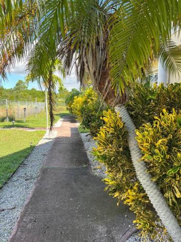 a palm tree lined path in a park at Island Serenity Cottage in Freeport