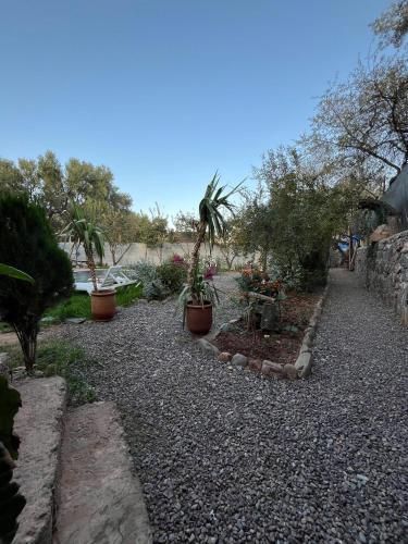 a garden with potted plants on a gravel road at Villa Djana Ouirgane in Ouirgane