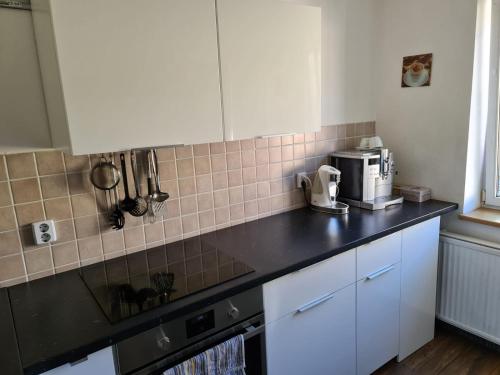 Kuchyň nebo kuchyňský kout v ubytování Ferienwohnung in der Altstadt,3