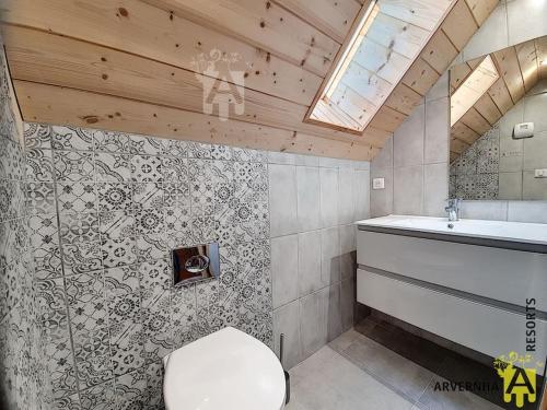 a bathroom with a toilet and a sink at Chalet Caranne in Besse-et-Saint-Anastaise