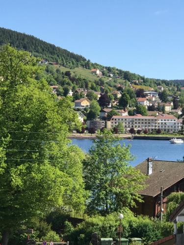 GERARDMER F2 Aubépine 80m du lac 4 personnes Vue directe lac