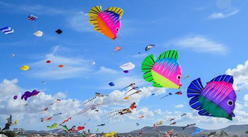a bunch of kites flying in the sky at Apartamento Verdemare in Corralejo