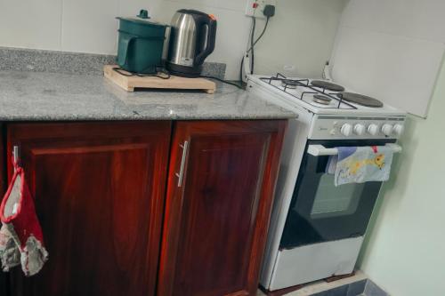 Kuchyň nebo kuchyňský kout v ubytování Mesa Home Apartment