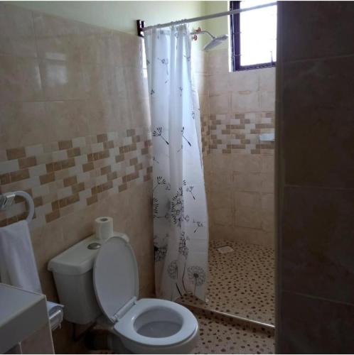 a bathroom with a toilet and a shower at Mtwapa june apartment 2 in Mtwapa