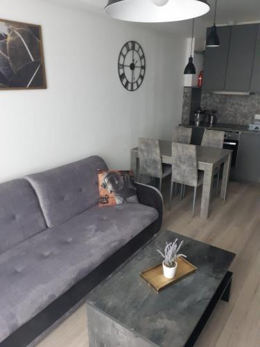 a living room with a couch and a table at Bruklinas in Šiauliai