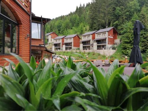 Gallery image of Magra Villas & Apartments in Peje