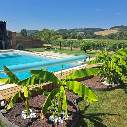 - une piscine avec des plantes dans une cour dans l'établissement Maison charmante à Saint-Pierre-de-Clairac avec piscine privée, à Saint-Pierre-de-Clairac