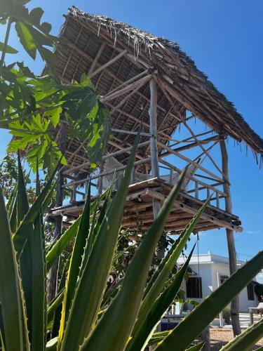 Φωτογραφία από το άλμπουμ του Sunset zanzibar lodge σε Kibigija
