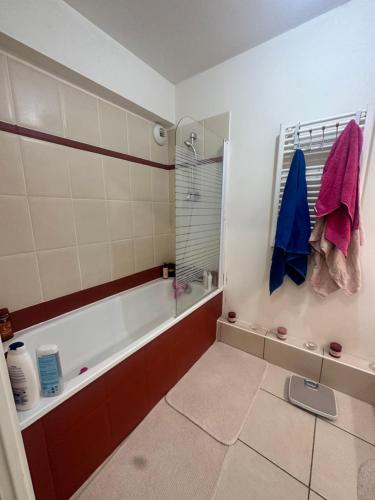 La salle de bains est pourvue d'une baignoire, d'une douche et d'une fenêtre. dans l'établissement Apparte Palmeraie, à Montpellier