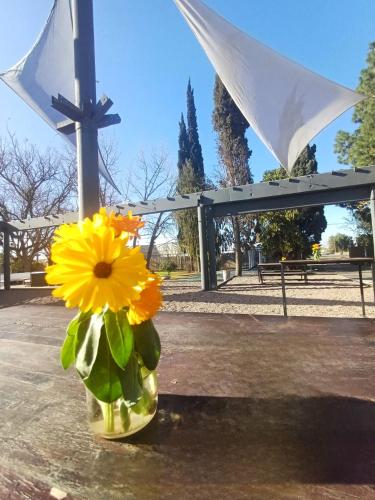a vase filled with yellow flowers sitting on a table at Hostal de Los Andes in Rodeo de la Cruz