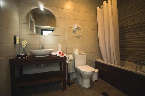 a bathroom with a toilet and a sink and a mirror at Vila Rosario in Ponta Delgada