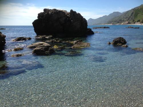 Naturlandskabet i nærheden af lejligheden