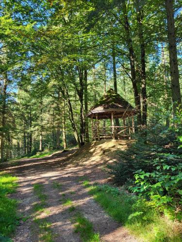 a wooden gazebo in the middle of a forest at Die alte Schule Häuschen in Saint-Vith