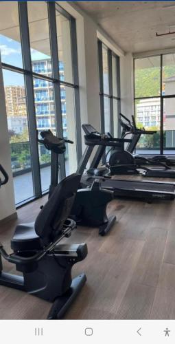 Fitness centrum a/nebo fitness zařízení v ubytování Green Side Apart Hotel gonio adjara georgia