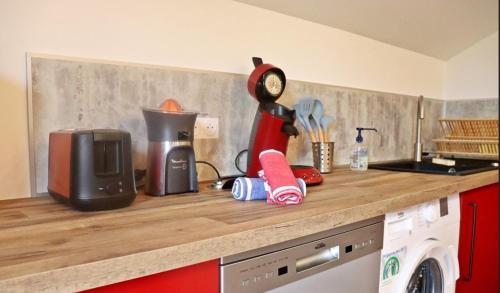 a kitchen counter with a coffee maker and a microwave at Gîte BARD des OURS in Saint-Martin-en-Vercors