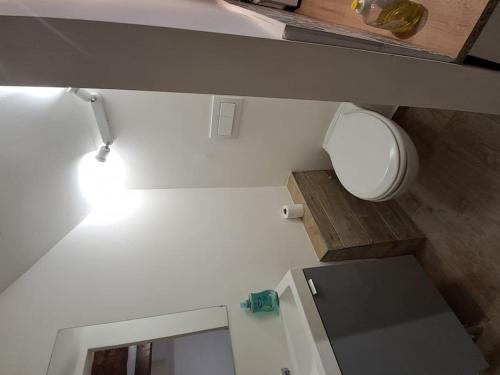 - une salle de bains avec toilettes et lumière dans l'établissement studio rez de chaussée, à Hyères