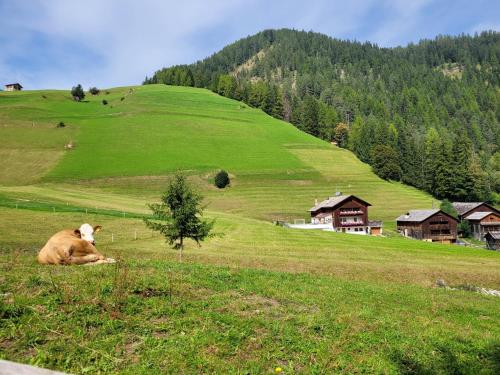 Příroda nedaleko apartmánu