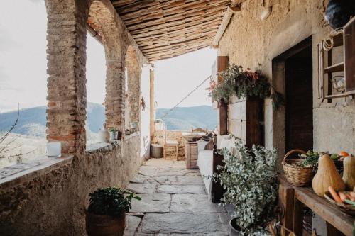 an alley in an old house with flowers and plants at Mas el Mir in Ripoll